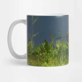 Duck in the grass Mug